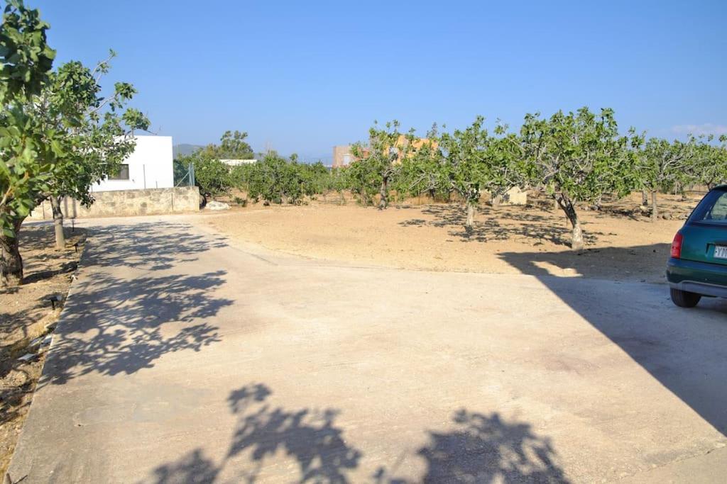 Nick'S House Vila Aegina Exterior foto