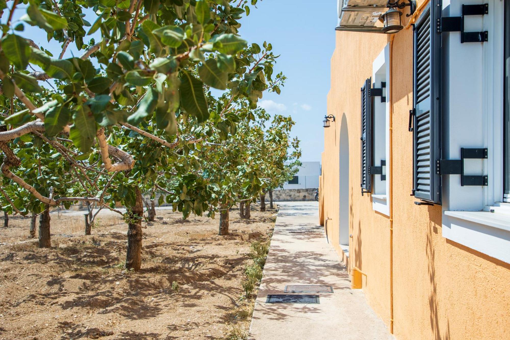 Nick'S House Vila Aegina Exterior foto